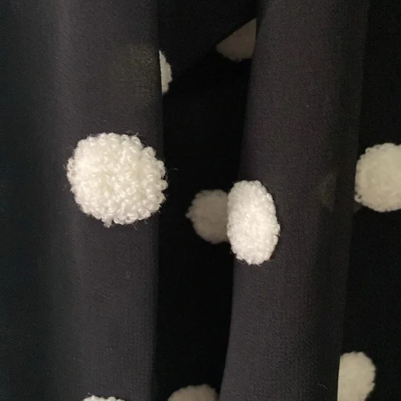 ZARA Blouse. Sz XS fits like a small. Black. Sheer. Like new. - Picture 5 of 7